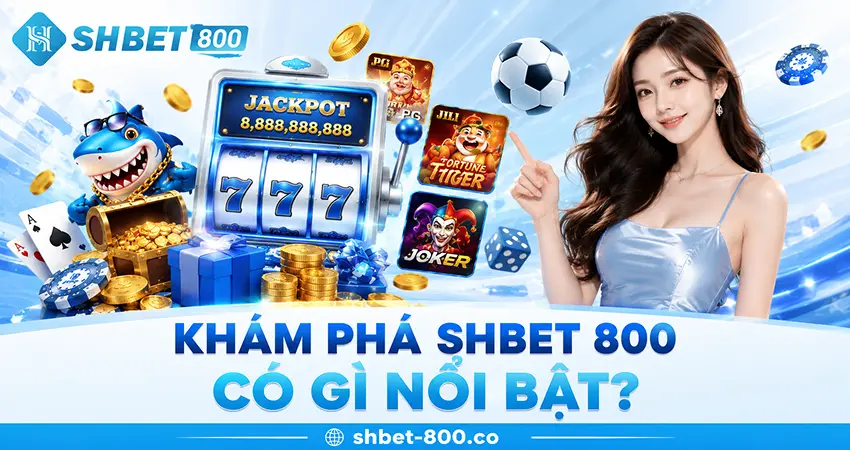 Khám Phá SHBET 800 Có Gì Nổi Bật?